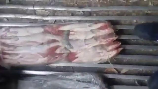 Горбуша ПСГ смотреть онлайн