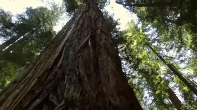 Matt Monro The Music Played смотреть онлайн