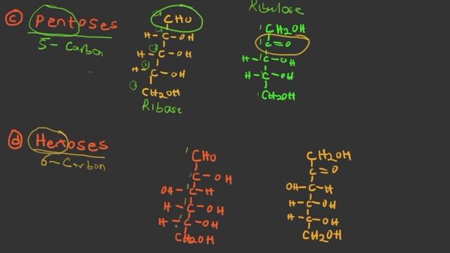 Monosaccharides смотреть онлайн