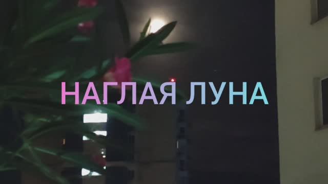 НАГЛАЯ ЛУНА. ПУТЕШЕСТВИЯ ПО СОЧИ. 2024г. Ю.Шатунов. смотреть онлайн