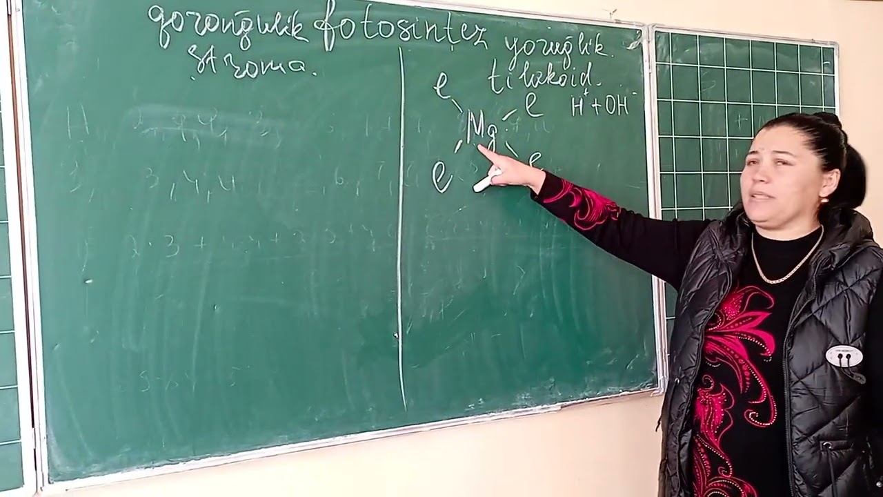 Fotosintez.Yorugʻlik va qorongʻulik bosqichi. смотреть онлайн