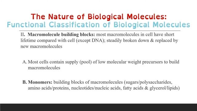 Cell Biology: Cellular Chemistry (Biological Molecules) смотреть онлайн