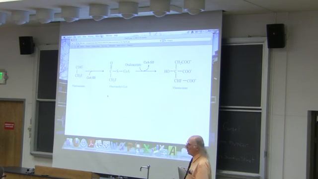 #29 Biochemistry Lecture (Citric Acid Cycle) from Kevin Ahern's BB 350 смотреть онлайн
