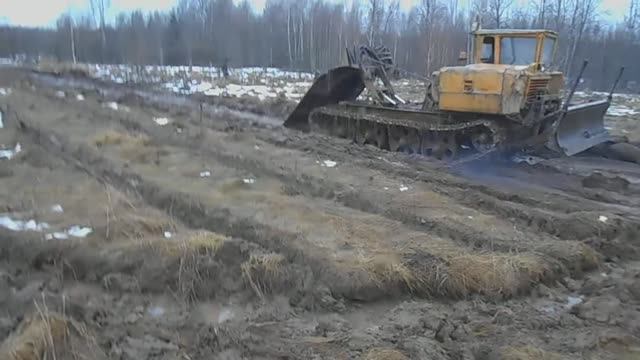 Довезли бревна. Готовимся сортировать лес. смотреть онлайн