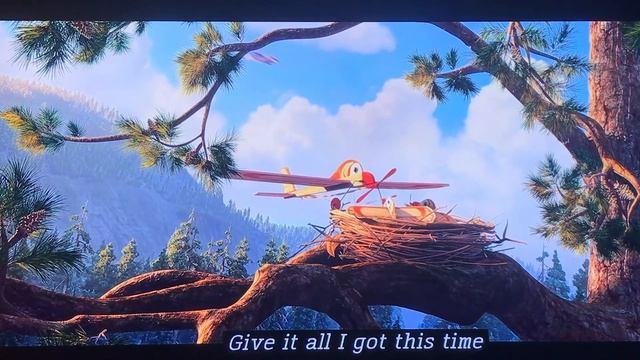 Still I Fly Spencer Lee