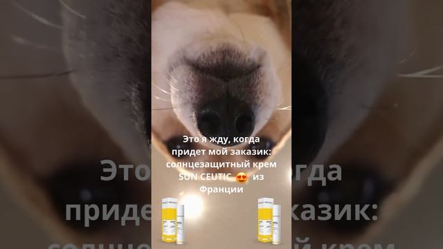 Sun Ceutic spf 50+ - мощная защита от UVA/UAB лучей. смотреть онлайн
