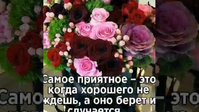 22 декабря 2018 г. смотреть онлайн