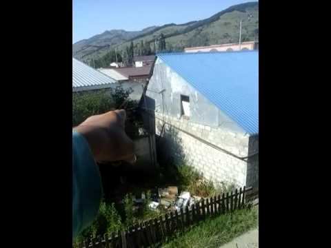 Спасение котят #1 смотреть онлайн