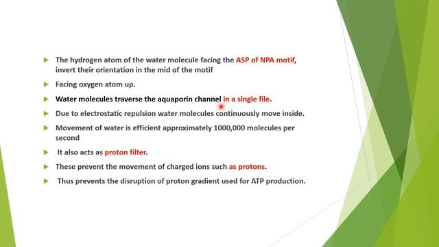Structure and functions of aquaporin AQP смотреть онлайн