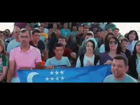 Бизнес коучинг-5 Пирамида оромгохи смотреть онлайн