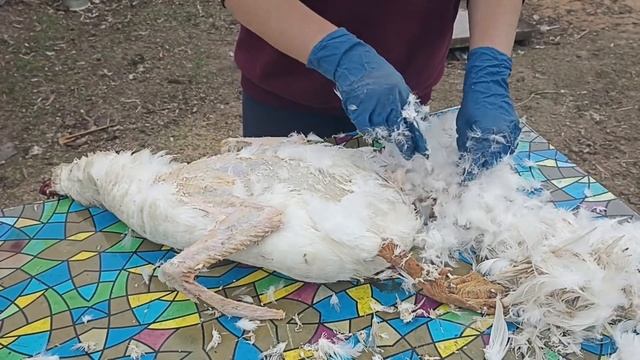 ВЛОГ : ИХ НЕ СТАЛО смотреть онлайн
