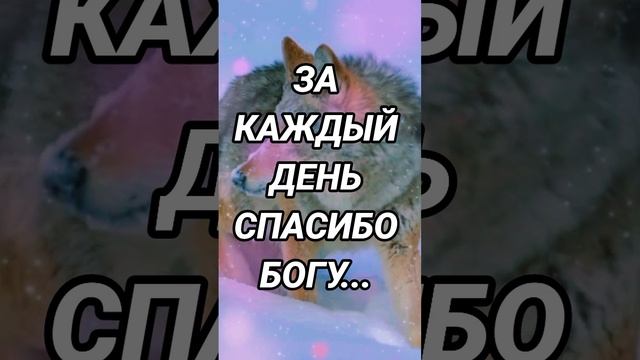 https://youtube.com/@yyuh-j9y?si=NwTuRU1ISZpeKlOL смотреть онлайн