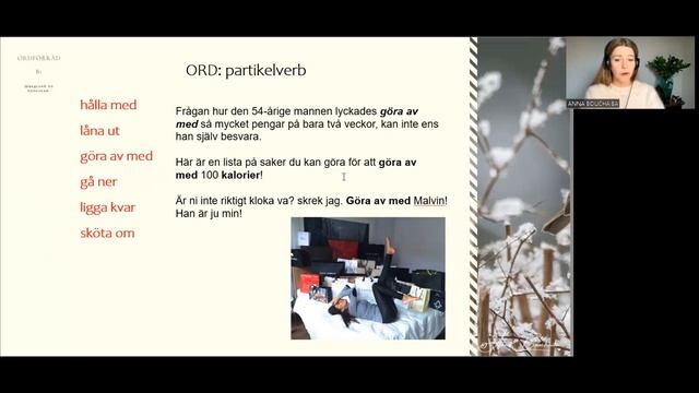 Шведский язык: Словарный запас. Partikelverb. Del 2. göra av med смотреть онлайн