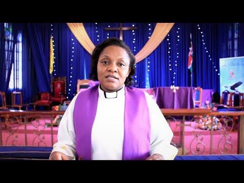 YOUR DAILY ENCOUNTER смотреть онлайн