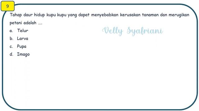 Soala Teknis PPPK PGSD Sesuai Fr: Materi IPA / Program tes tahap 3 смотреть онлайн