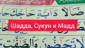 Учимся читать Коран правильно! Правила Шадда, Сукун и Мадд при чтении Корана #коран #таджвид #аят