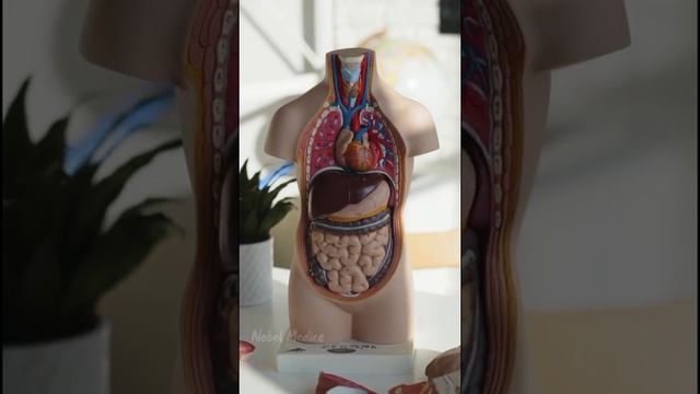 Come Check This | NEET Motivational Quote Status | NEET Motivation |#neet2022 #neet #neetmotivation смотреть онлайн