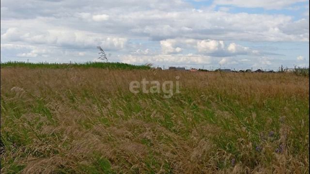 11572227 смотреть онлайн