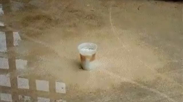 кола + хлорка лучше ментоса / Coke + chlorine better then mentos смотреть онлайн