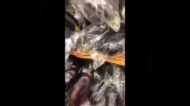 Supermarket trip смотреть онлайн