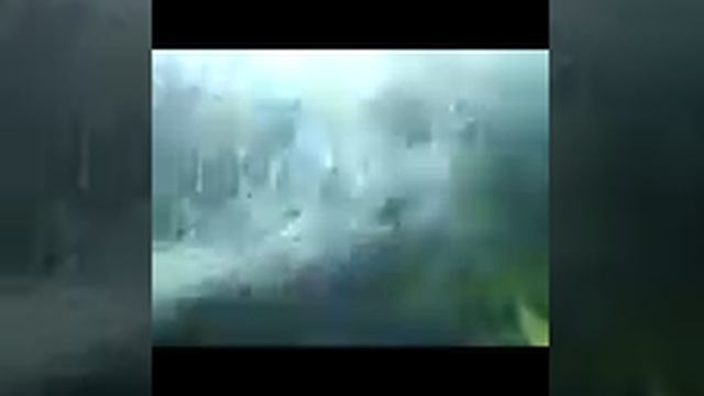 нарест залатой сомик смотреть онлайн