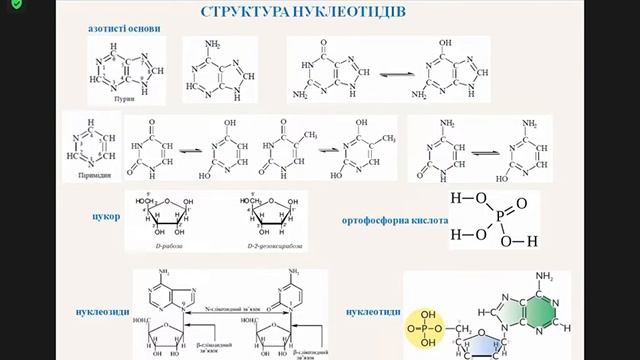 Біохімія 28.09.22 смотреть онлайн
