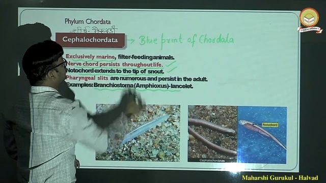 Class 12 Neet Biology Unit_1 Chapter_Animal Kingdom(પ્રાણી સૃષ્ટિ) Part 22 Maharshi gurukul смотреть онлайн
