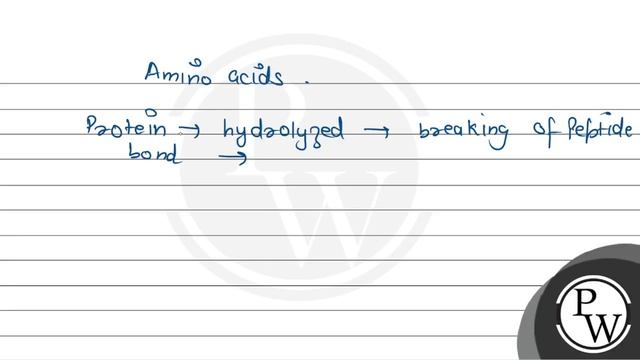 If all the peptide bonds of a protein are broken down, then what would remain?
(A) A mino acids
... смотреть онлайн