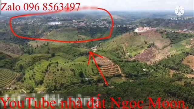 (30)(đa bán)8sào giá chỉ 250triệu. Cách ql 28 chỉ 500m#đất, смотреть онлайн