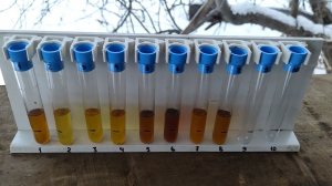 Тест бюджетных масел 0W20 на текучесть 0 градусов