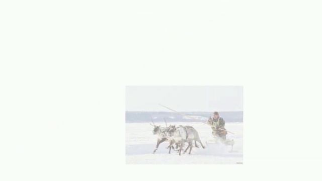 Креативный Север смотреть онлайн