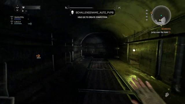 Dying Light: Custom Map Coop Fun with C.R.E.X & DoktorPills смотреть онлайн