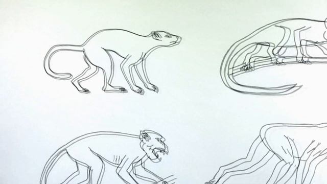 HUMAN EVOLUTION COLORING BOOK смотреть онлайн