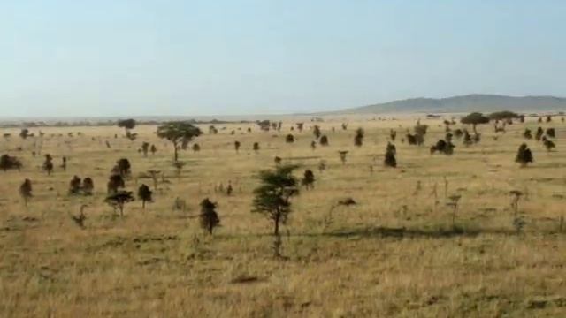 video 06 viaje en globo sobre el Serengeti Tanzania смотреть онлайн
