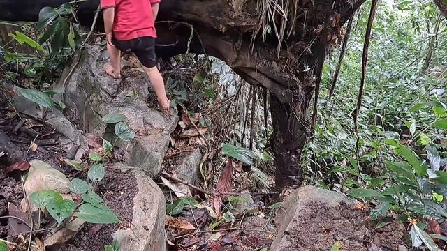Single mother: trying in vain to find her lost child in the forest - Duong Mi смотреть онлайн
