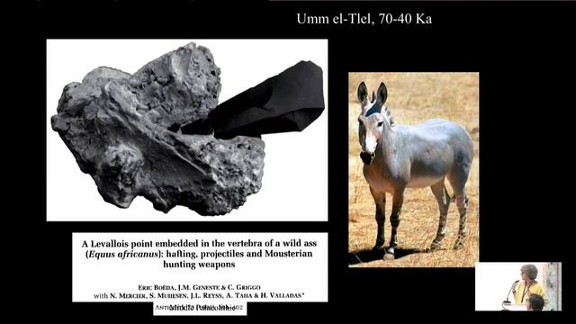 Erella Hovers - Continuity and change in research about the Neanderthals in the Levant смотреть онлайн