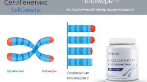 СеллГенетикс Активная регенерация клеток