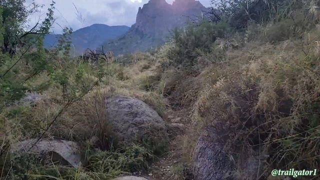 Catalina State Park Short Hikes, Five and Six Mile Hikes near Tucson, Arizona смотреть онлайн