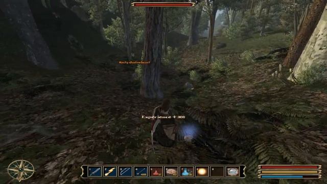 Gothic3 Mage 27 Hunting Skill Comp find Okara смотреть онлайн