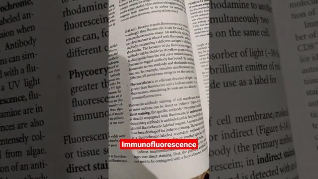 Immunoflurorescence #Immunology #das ebiology смотреть онлайн