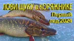 🔥 Поймал ХОЗЯЙКУ КОРЯГИ! Первый лед 2024, щука на жерлицы, зимняя рыбалка в коряжнике 🔥