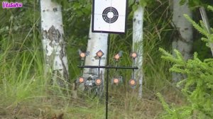 Стрельба по мишеням Hatsan Striker Edge GAMO DELUXE