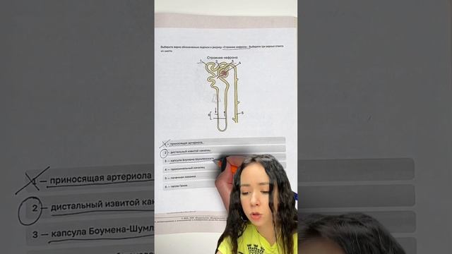 Задание ЕГЭ биология #умскул_биология #жаннаказанская #умскул #биология #егэ2023 #егэбиология смотреть онлайн