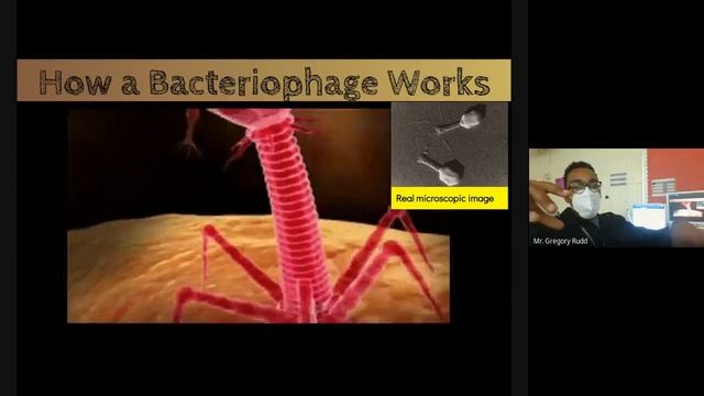 Honors Biology | April 16, 2021 | Pathogens & Natural Selection (U8D5) смотреть онлайн