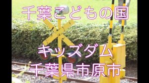 Страшные светофоры 61