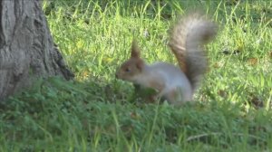 Керчь. Прогулка 29.11.24