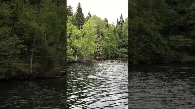 Рыбалка в одиночку в глуши смотреть онлайн