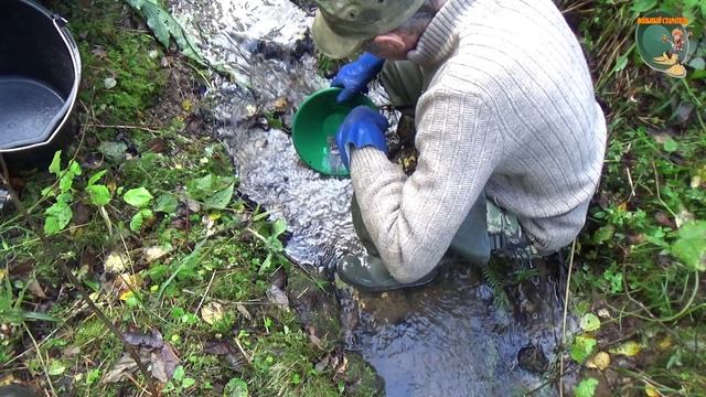 Разведка лесного ручья (часть вторая) #поискзолота #золотовручье #золотоиплатина смотреть онлайн