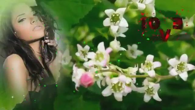 Чёрная смородина...исп. Алёна Росс смотреть онлайн