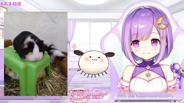 【沖縄旅行】鼻声だけど！写真見ながらお土産話！【#神月天/Vtuber】